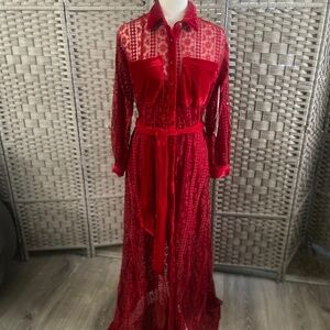 Unique Vintage Burgundy Velvet Dress (NWT)